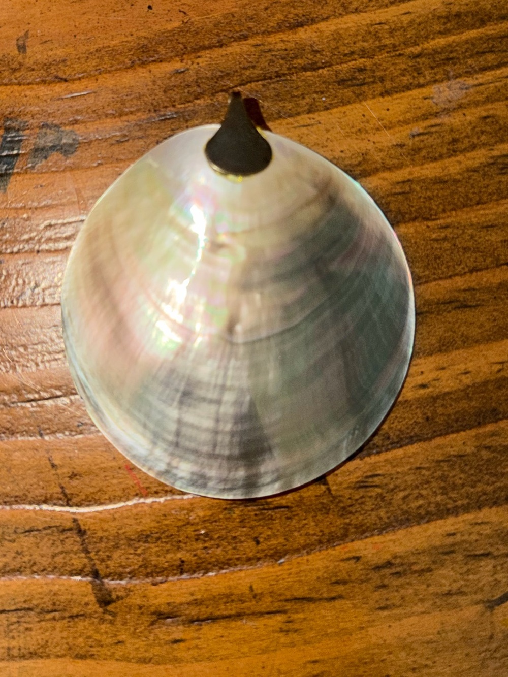 Shell pendant - Picture 2 of 6